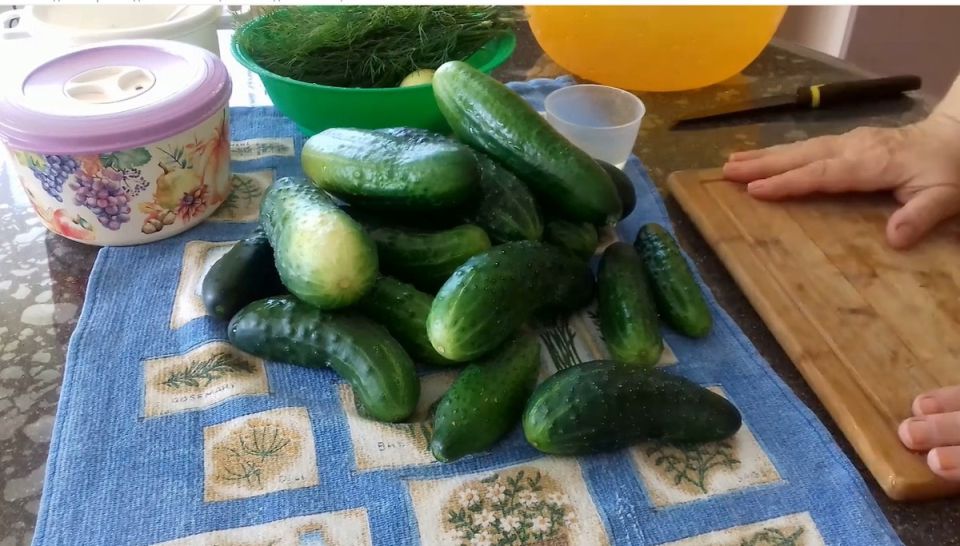 ���������� ����� �� ������� �� ����: ������� ������