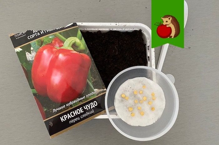 ��� ������� ���������� ��� ��� ������� ������ � 2026 ����