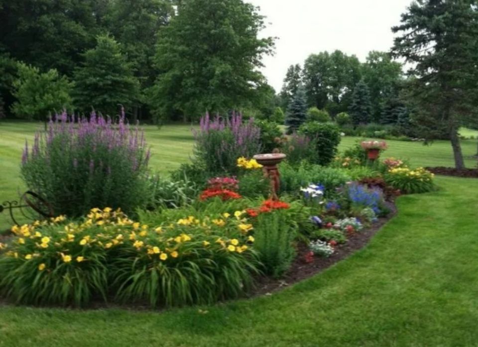 ��� ������� ��������� �������: ������ ��� ���������� ���������