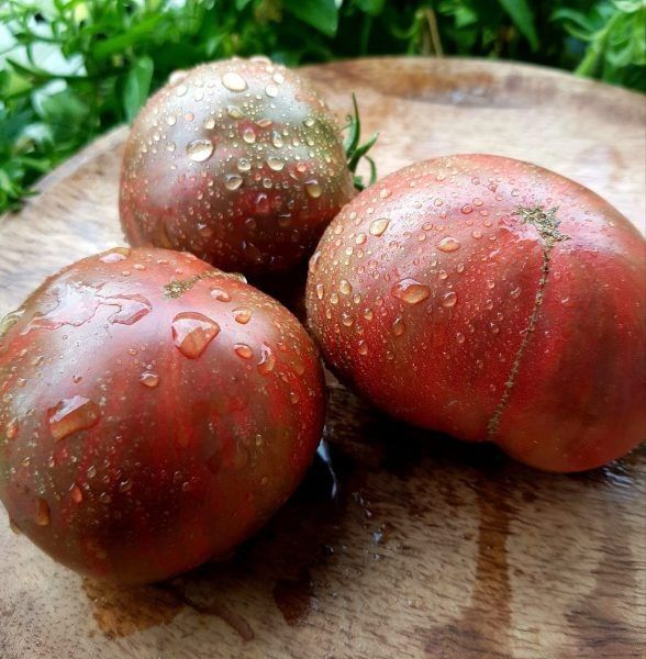 ����� ���� ��������: ���������� ���� � ������� ��� ����������� �������