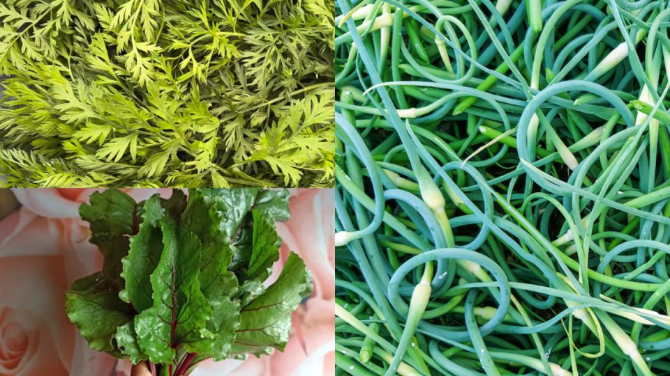 ��� �������� �������� �� ������� �������� ������ � �������� ��������