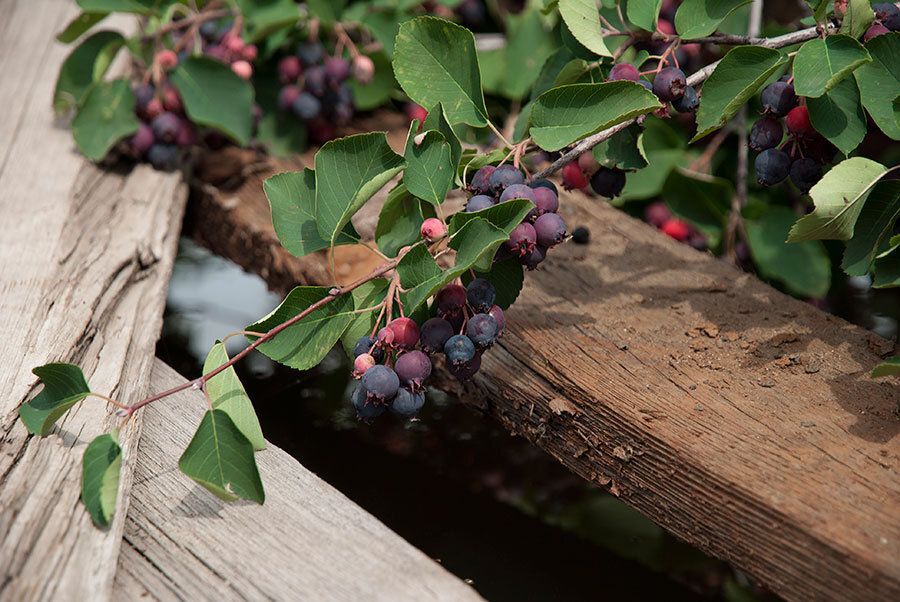 ��� �������� ��������� ���� �������� ������ � �������� ����