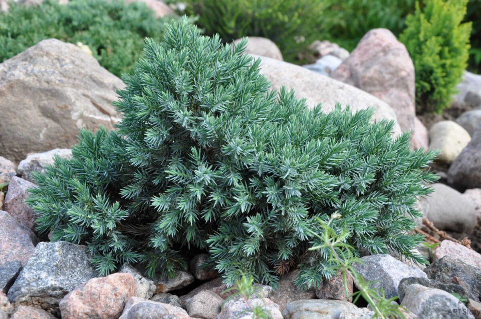 ������������: ������������� ��������� ������ ����