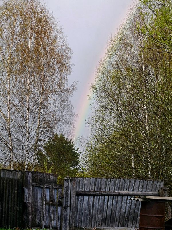 ��� ������ ��������� ���� � ������� ����: ��� �� �����