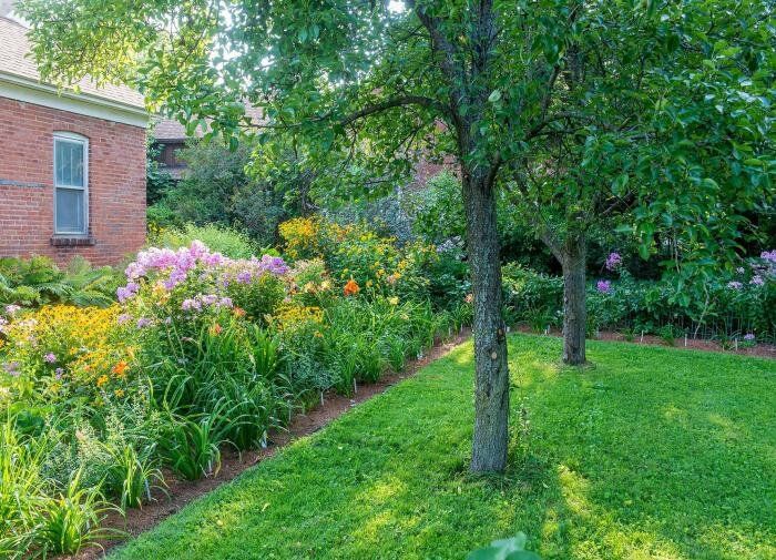 Как выбрать идеальное место для ваших растений: солнце или тень?