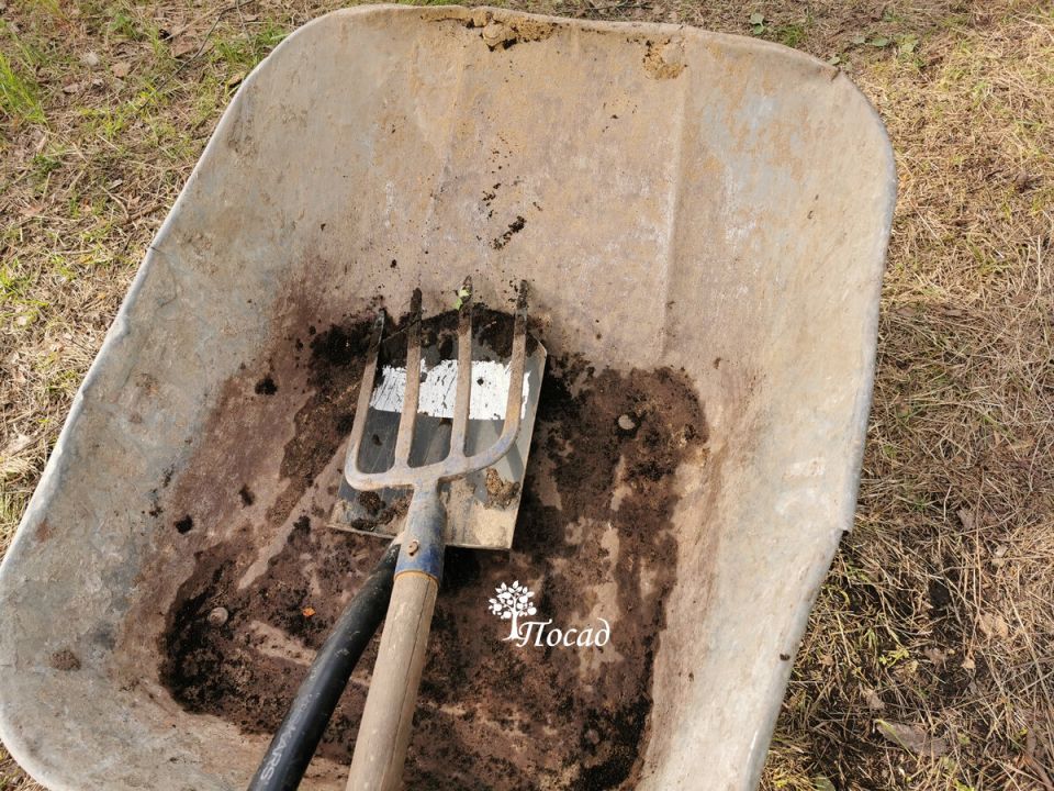 �������� ��������� ��������, ������� �������� � ���� �� ��� ���