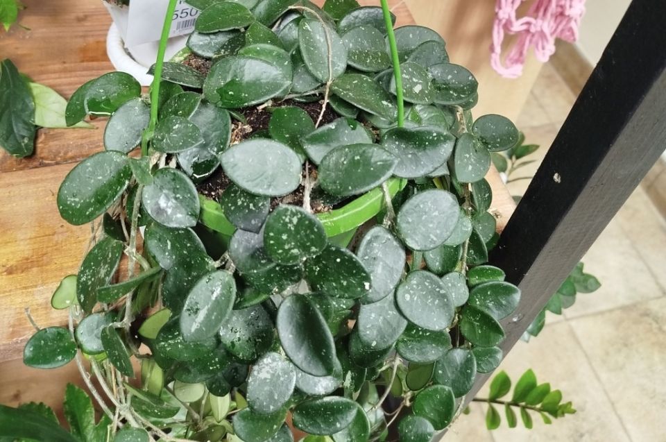 ����: ������������� ��� �������� ���� � �� ������� �����