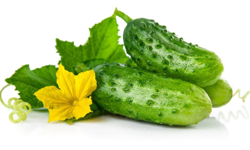 ���������: �� ��� � ���������