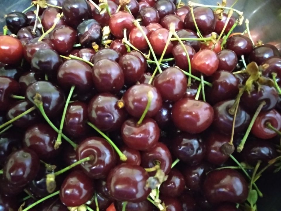 ��� � ��������� (���): ��������, ����� � ����